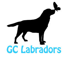 GC Labradors Logo